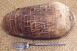 Big Taro Corm