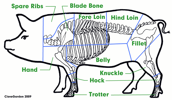 English Cuts for Fresh Pork