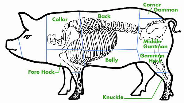 English Cuts for Cured Pork
