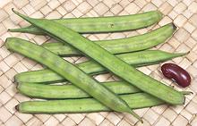 Guar Cluster Beans