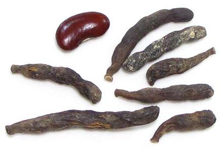 Whole Selim Pepper Pods