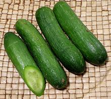 Mini Cucumbers