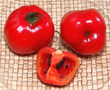 Whole and cut Rocoto Chilis