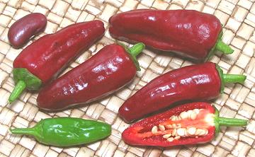 Shatta Chilis, whole, cut