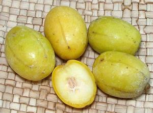 Ripe June Plums, whole and cut