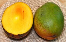 Giant Mangos, whole and cut