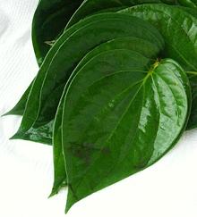 Fresh Utazi Leaves