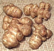 Sunchoke Root Tubers