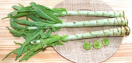 Lettuce Stems with Leaves