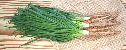 Whole Salsify Plants