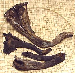 Whole Black Trumpet Mushrooms