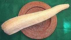 Dried Luffa as Sponge