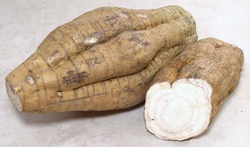 Arrowroot Rhizome, whole and cut