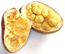 Opened Cempedak Fruit