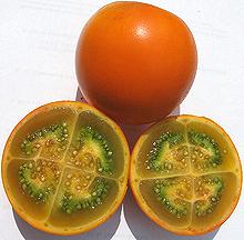 Whole and Cut Naranjillas