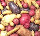 Potato mix