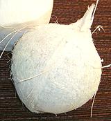 Whole Coconut