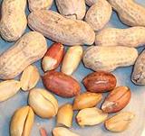 Whole and Shelled Peanuts