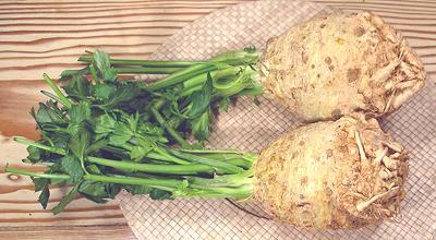 Celery Roots with Leaves