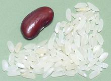 Portuguese Carolino Rice Grains