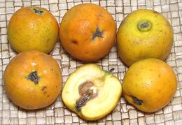 Whole & Cut Tejocote Fruits