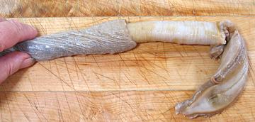 Peeling off Geoduck's Skin