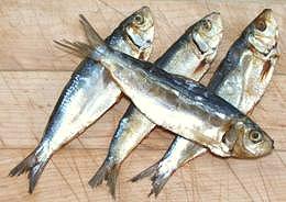 Small Salt Dried Herrings