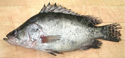 Whole Mandarin Fish