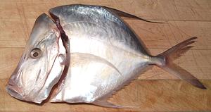 Moonfish with Head Cut Off