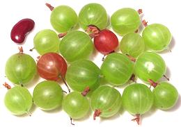 Dish of Ripe Gooseberries