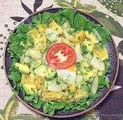 Bowl of Chayote & Avocado Salad